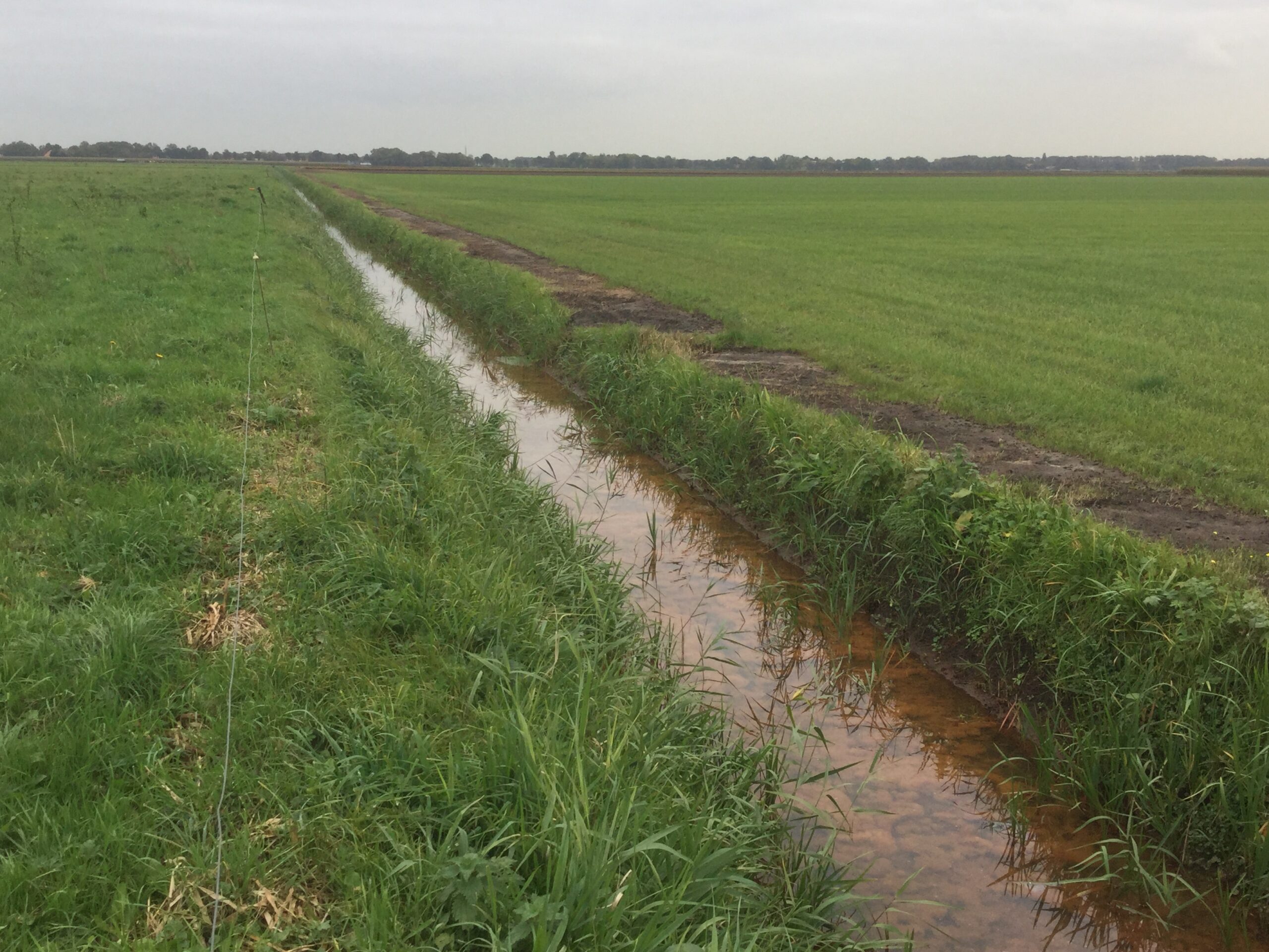 Verkiezingsprogramma Water, Wonen en Natuur vastgesteld