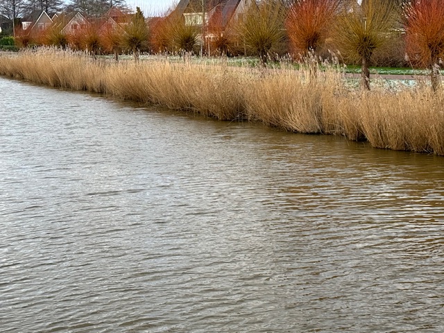 Financiële gevolgen hoge waterstanden