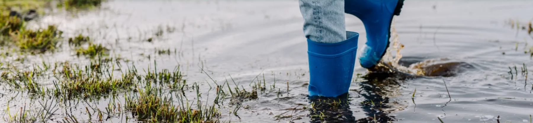 Water, Wonen en Natuur en Water Natuurlijk