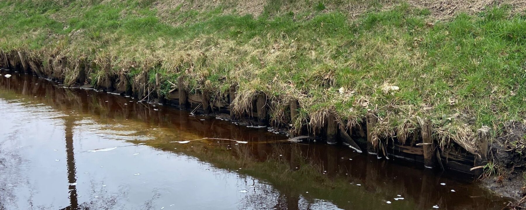 Waterschap Zuiderzeeland start grootschalige vervanging van oeverconstructies in Noordoostpolder