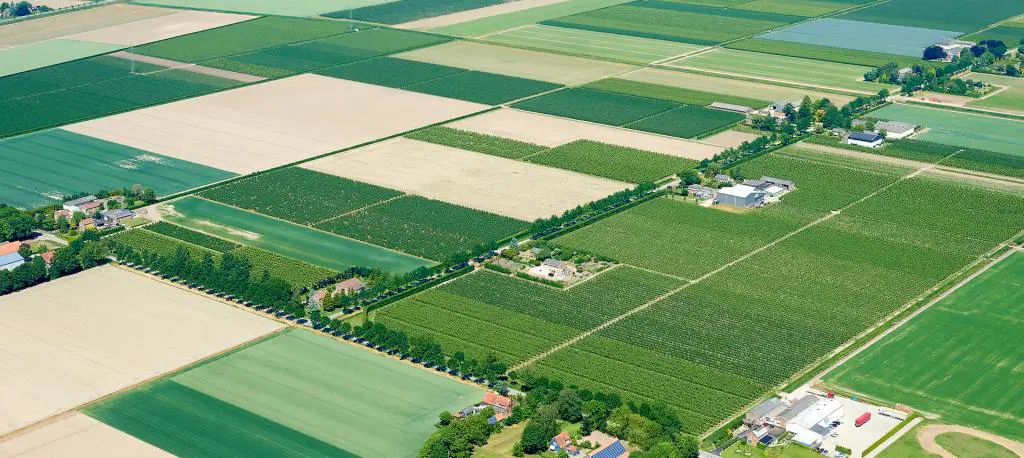 Wateroverlast versus waterveiligheid