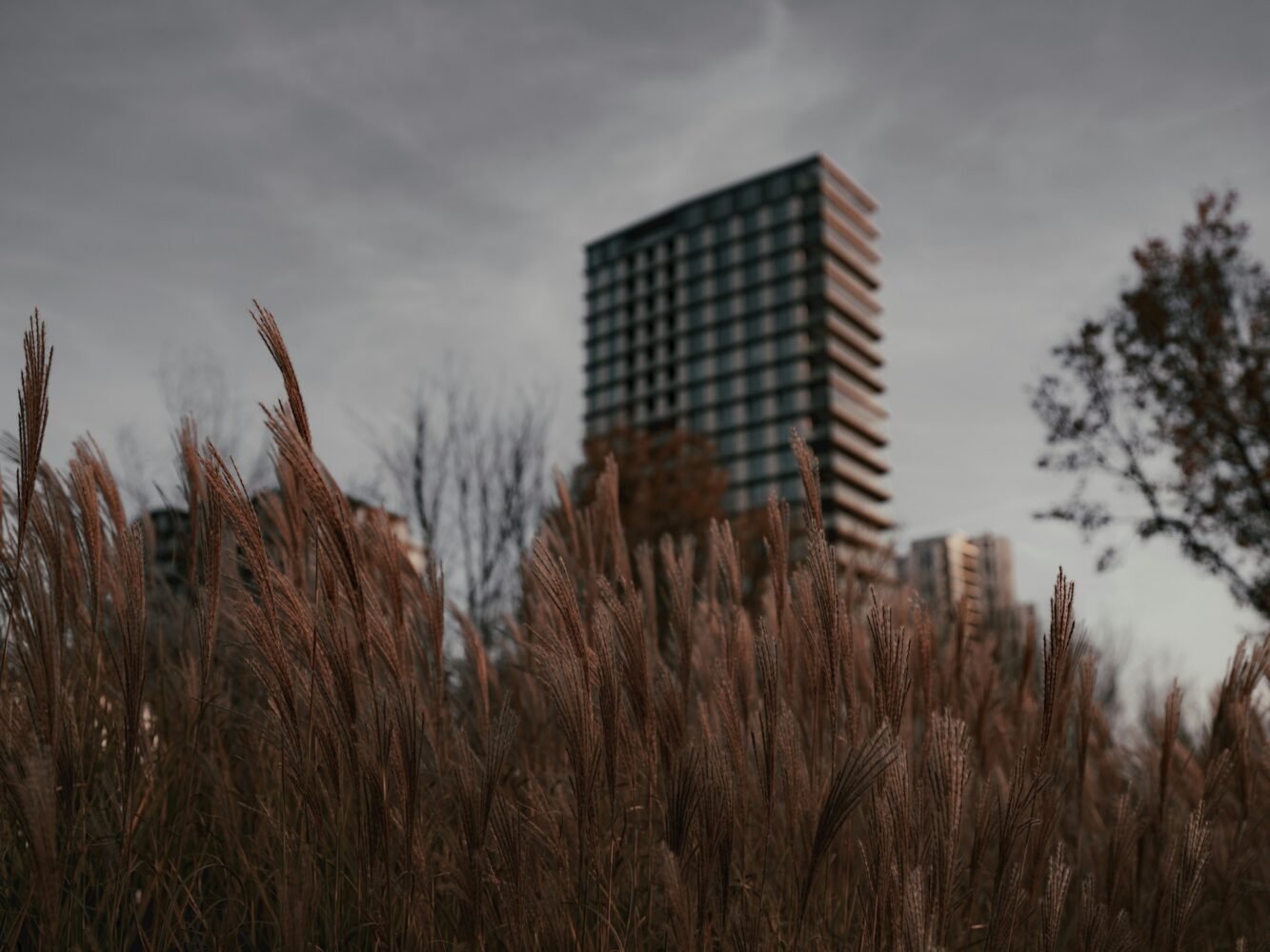 Dijk krijgt duinjasje in Almere: slimme oplossing voor bouwen aan het water